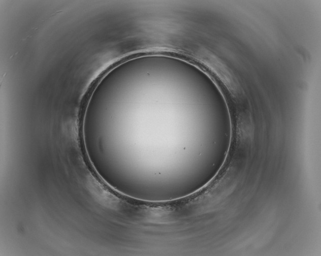 X0000111891460200907231546