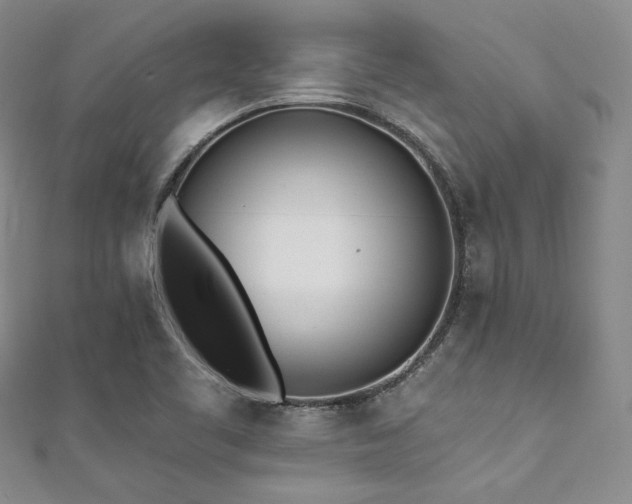 X0000111891461200907231546