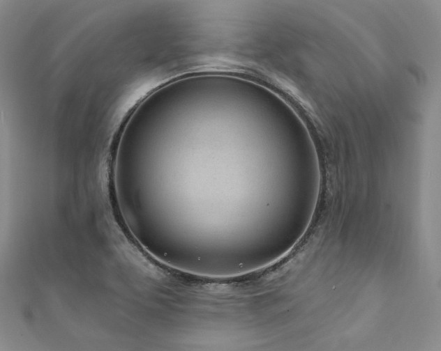X0000111891463200907231546