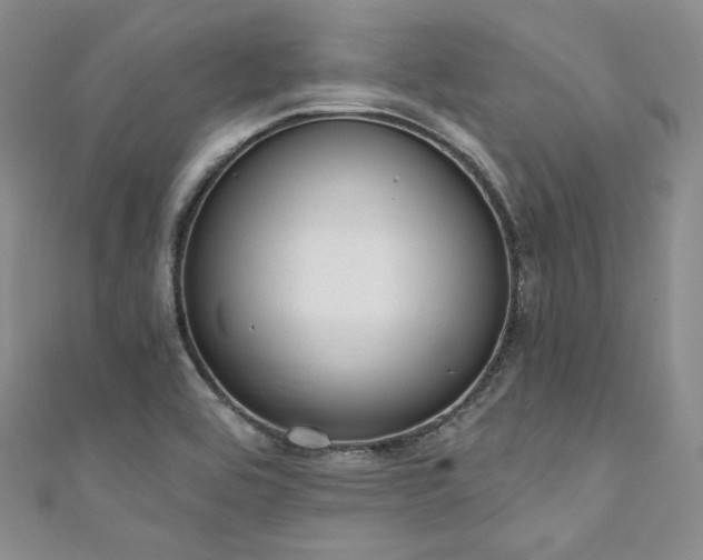 X0000111891464200907231546