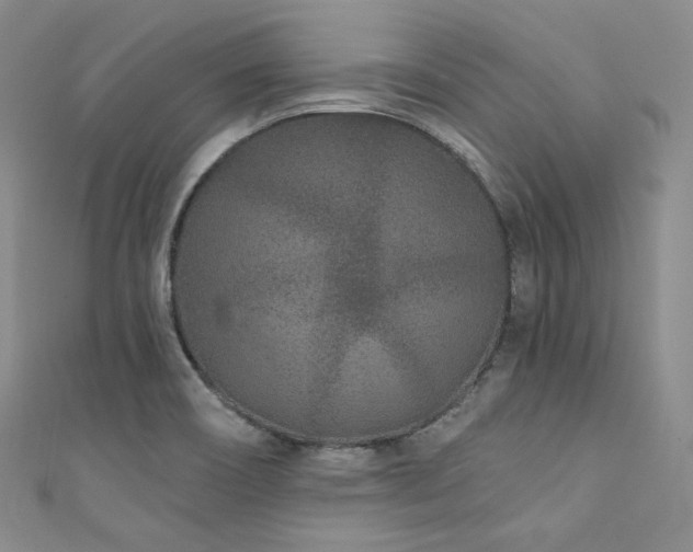 X0000111891466200907231546