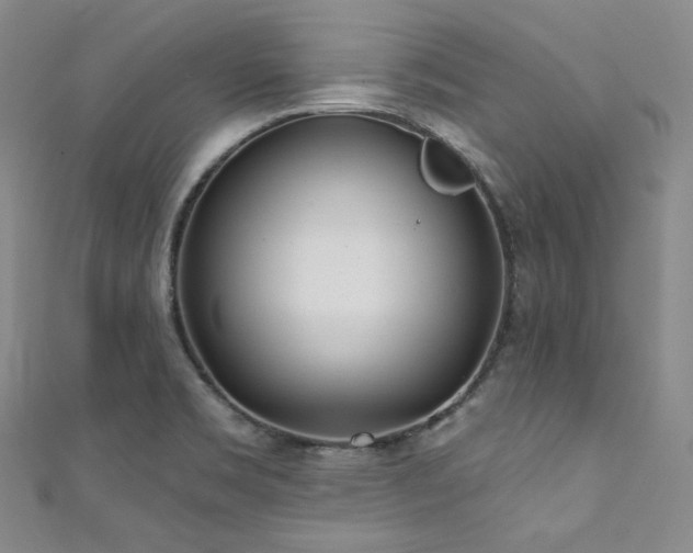 X0000111891469200907231546