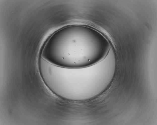 X0000111891472200907231546