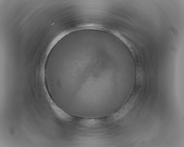 X0000111891474200907231546