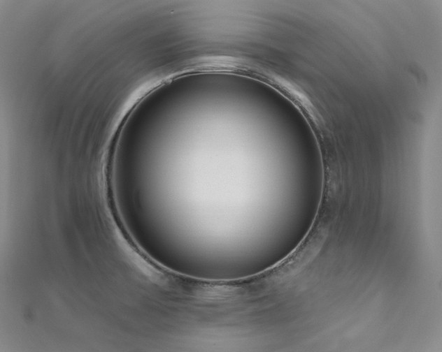 X0000111891475200907231546