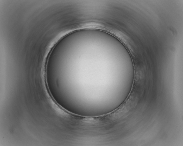 X0000111891478200907231546