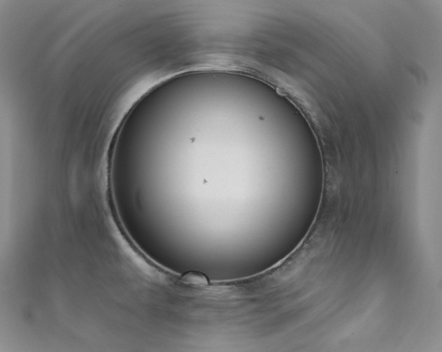 X0000111891479200907231545