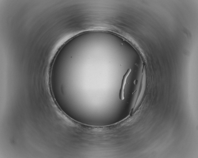 X0000111891480200907231545