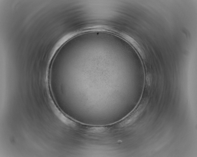 X0000111891482200907231545