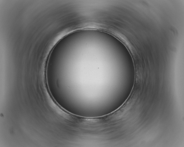 X0000111891483200907231545