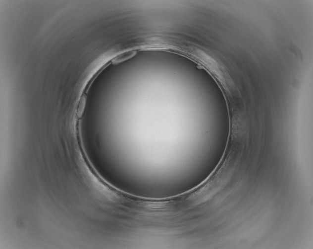 X0000111891484200907231545