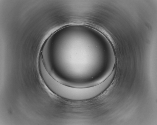 X0000111891485200907231545