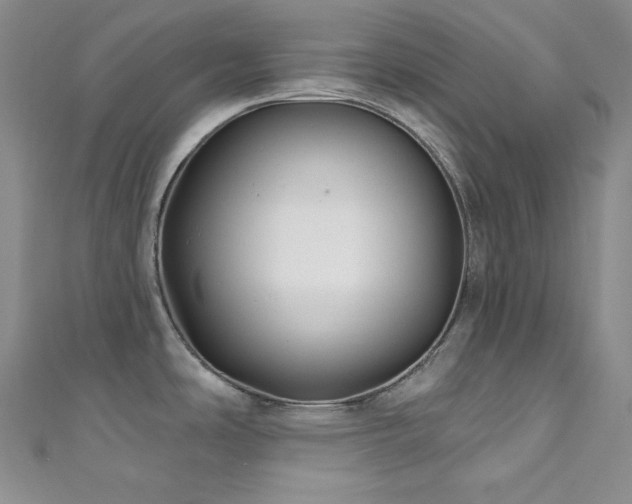 X0000111891486200907231545