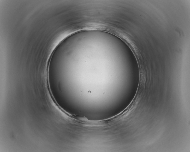X0000111891487200907231545