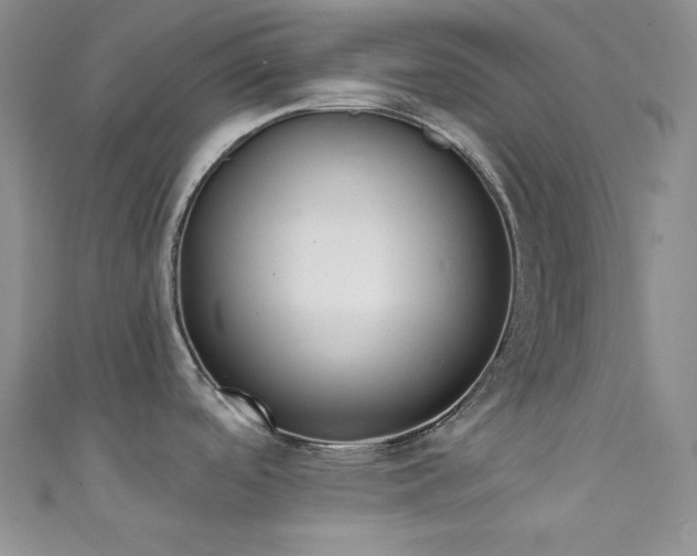 X0000111891488200907231545