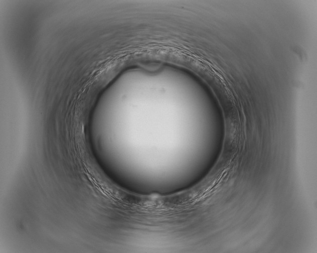 X0000111891489200907231545