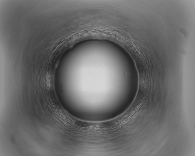 X0000111891490200907231545