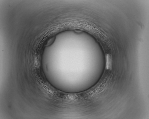 X0000111891491200907231545