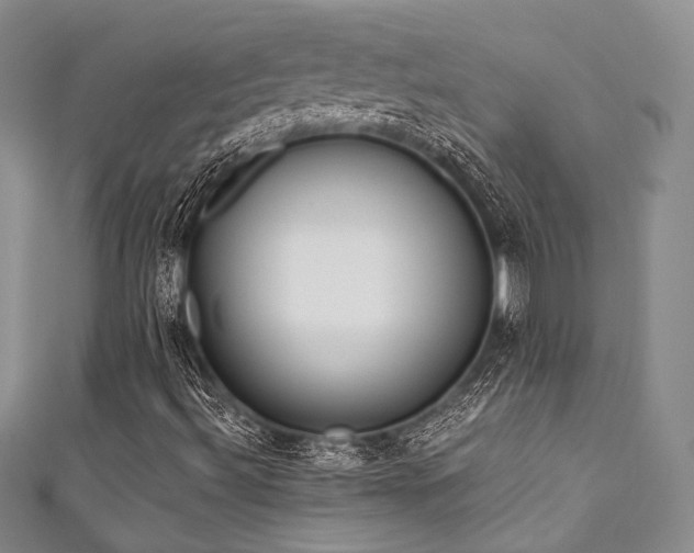 X0000111891492200907231545