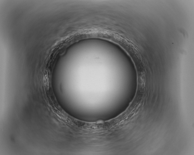 X0000111891493200907231545