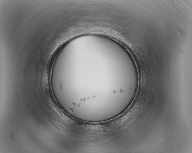 X0000111891498200907231545