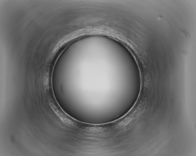 X0000111891499200907231545