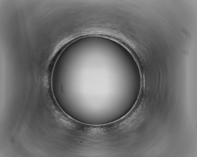 X0000111891501200907231545