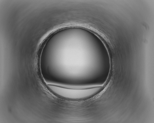 X0000111891502200907231545