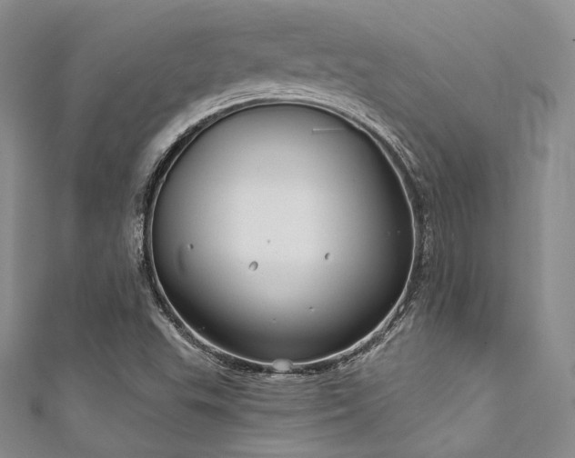 X0000111891503200907231545