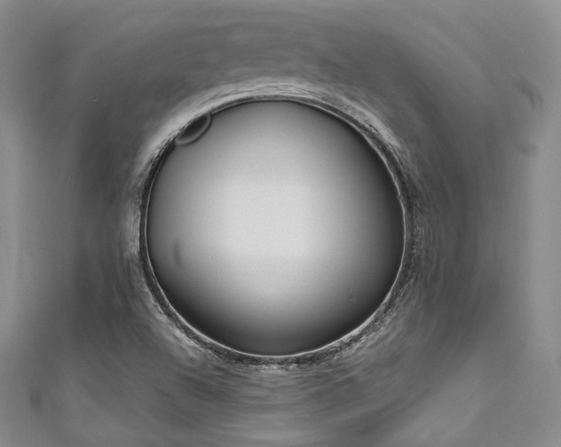 X0000111891504200907231545