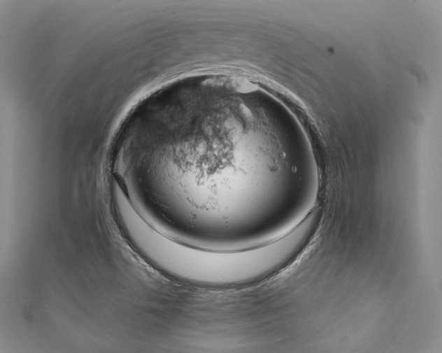 X0000111891506200907231545
