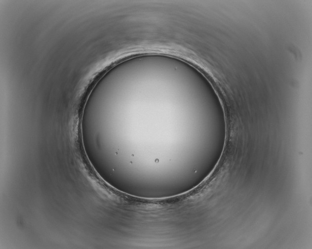X0000111891507200907231545
