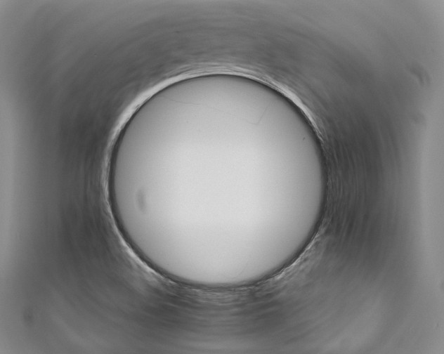 X0000111891508200907231545