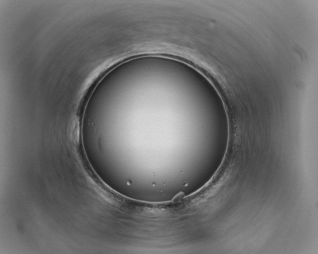 X0000111891509200907231545