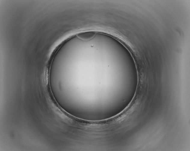 X0000111891510200907231545