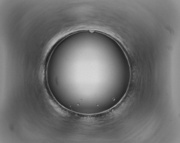 X0000111891511200907231545