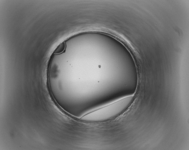 X0000111891512200907231545