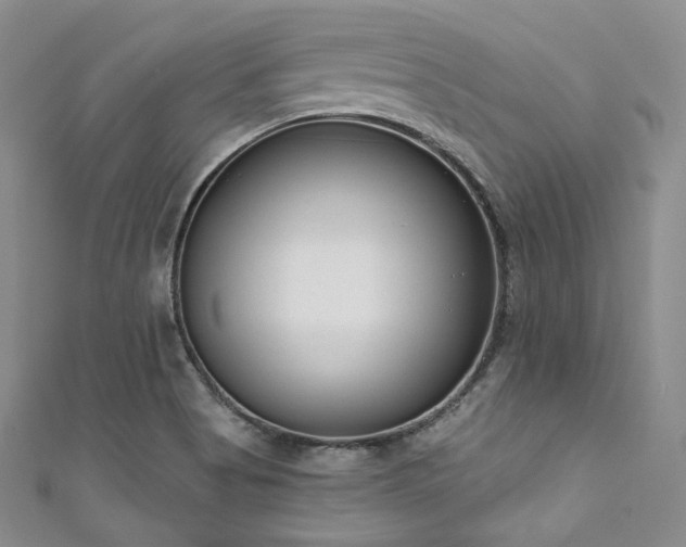 X0000111891513200907231545