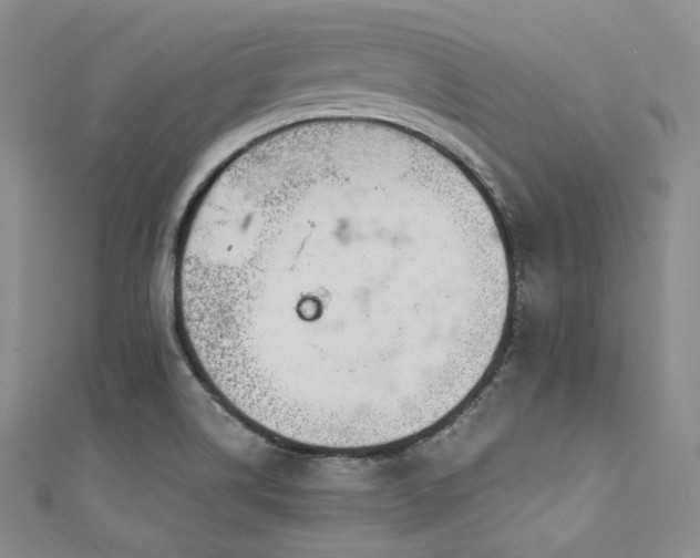 X0000111891514200907231545
