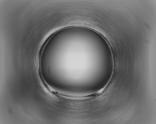 X0000111891515200907231545