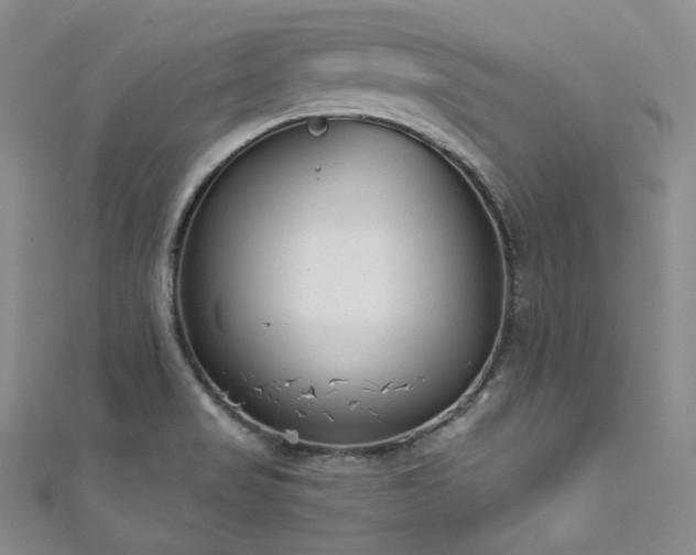 X0000111891517200907231545