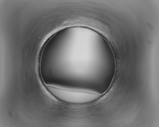 X0000111891518200907231545