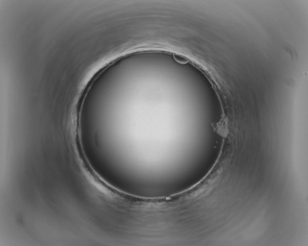 X0000111891519200907231545