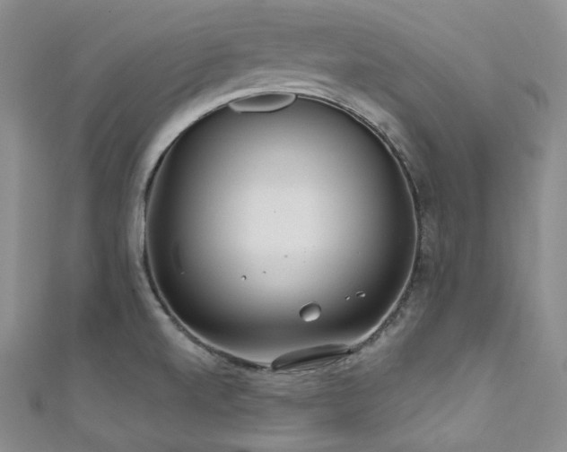 X0000111891520200907231545