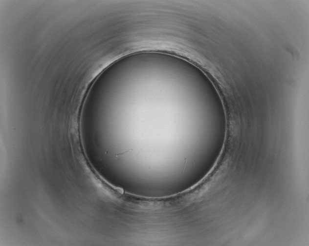 X0000111891521200907231545