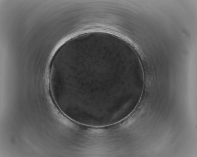 X0000111891522200907231545