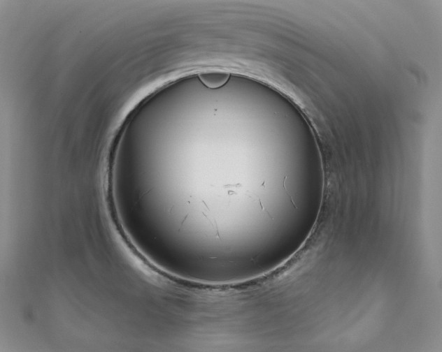 X0000111891523200907231545