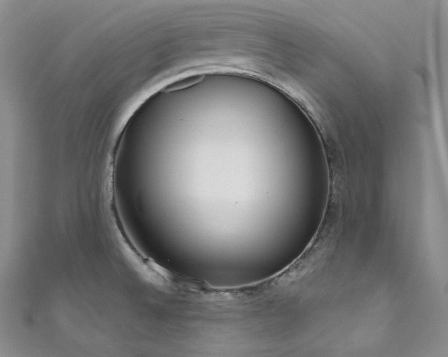 X0000111891524200907231545