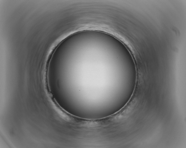 X0000111891525200907231545