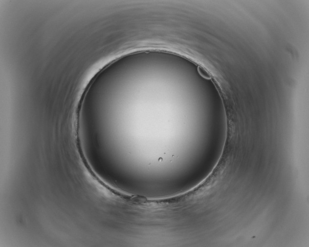 X0000111891527200907231545